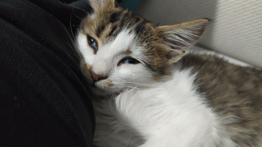 Photograph by Şeyhmus Çakırtaş