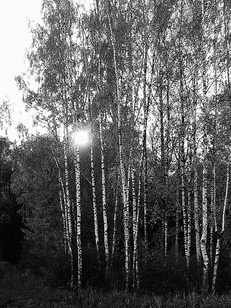 Фотография автора Владислава Андрюнина