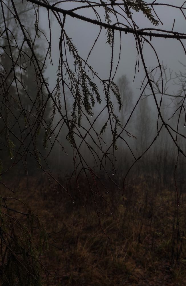 Photograph by Ксения Иванова