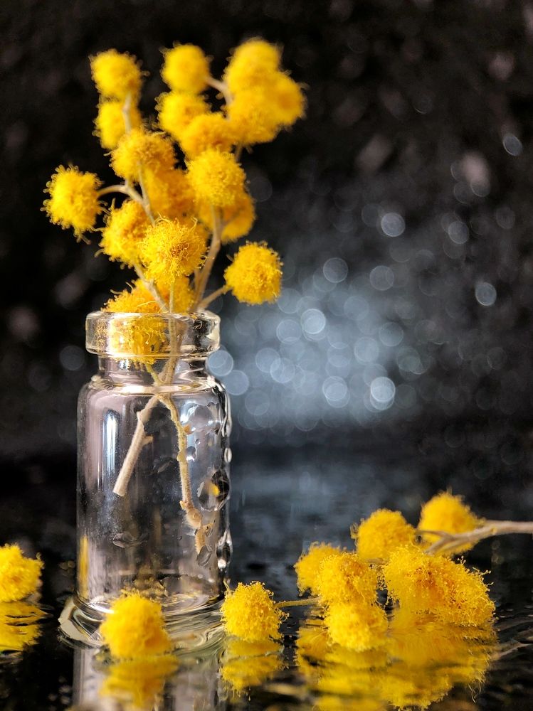 Photograph by Диана Гювенч