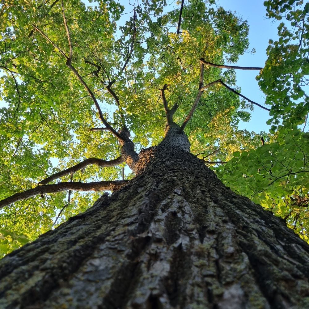 Photograph by Полина Карпова