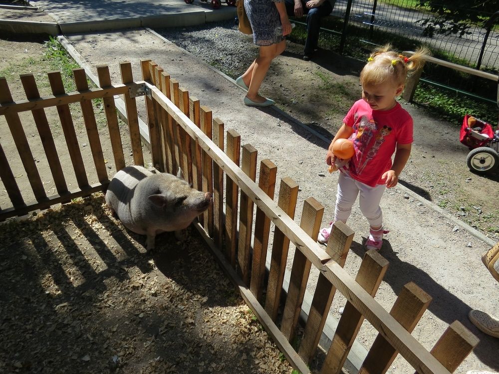 Знакомство