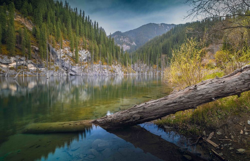 Photograph by Diana Karp