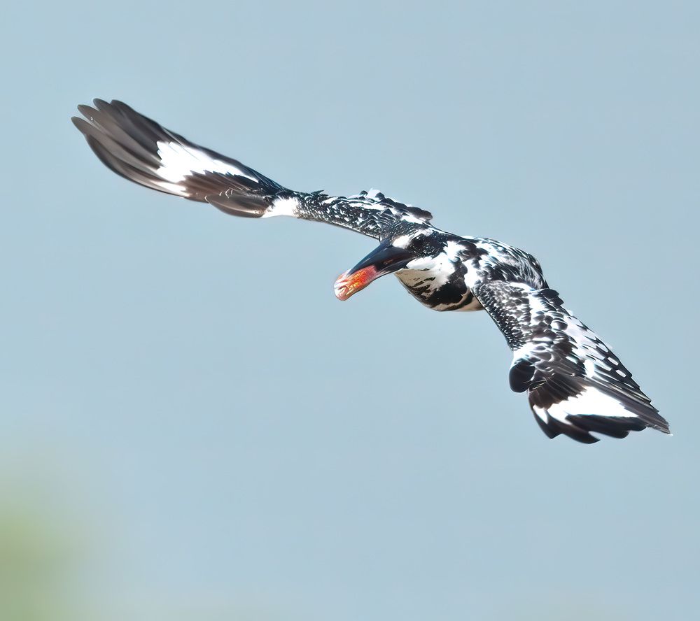 Photograph by Abhishek Manna