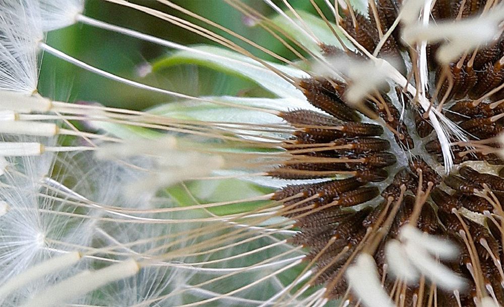 Фотография автора Владислава Андрюнина