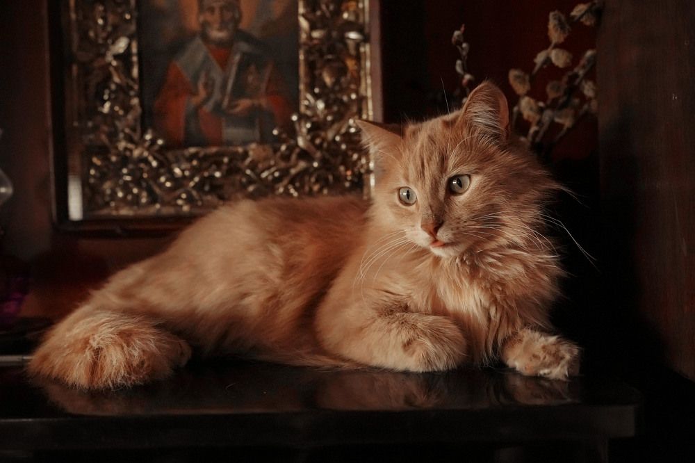 Photograph by Евгения Сосулина