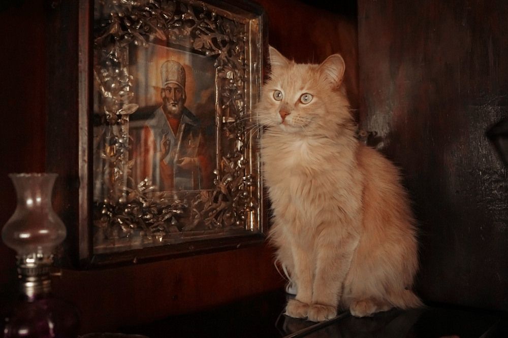 Photograph by Евгения Сосулина