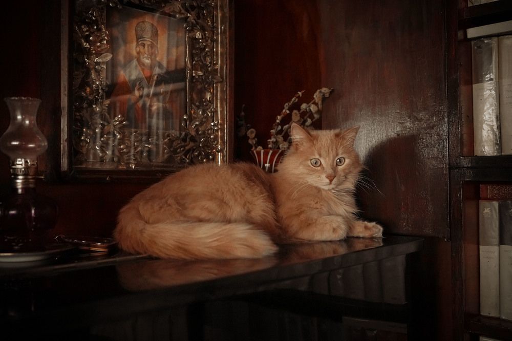 Photograph by Евгения Сосулина