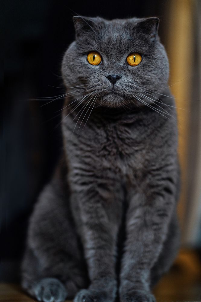 Photograph by Екатерина Кожемяко