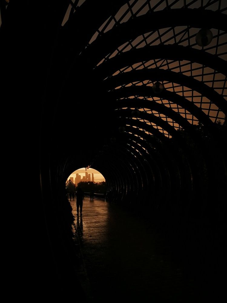 Photo #8960772