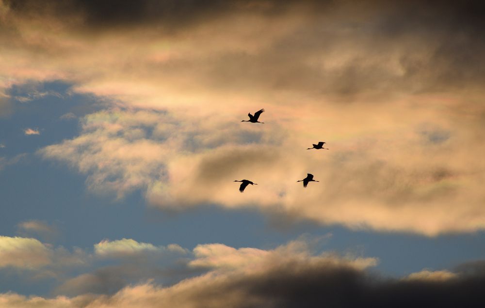 Photograph by Ярослав Думчев