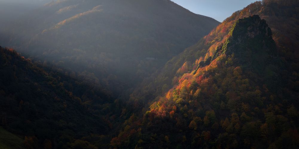 Photograph by Amir Ramezani