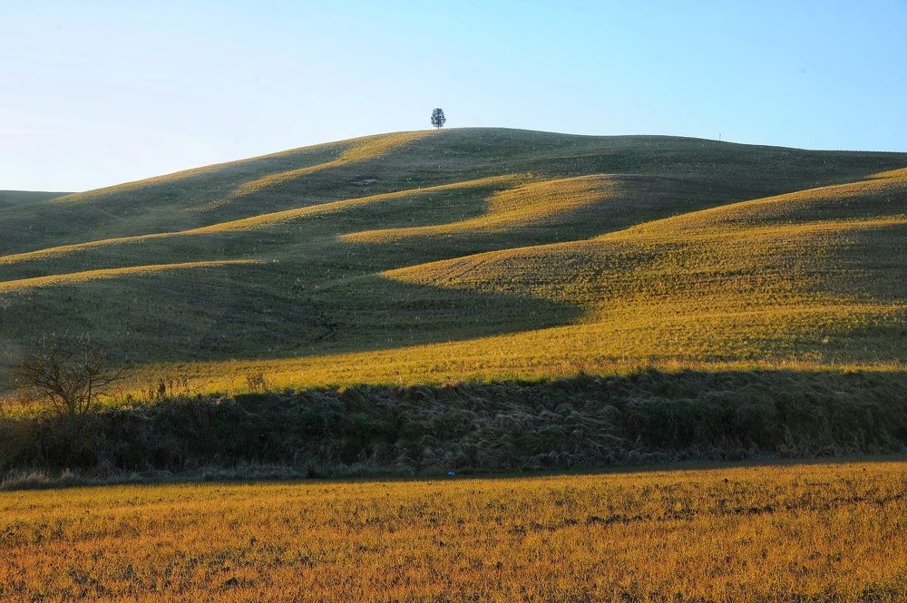 Photograph by Francesca Fiorenzoni