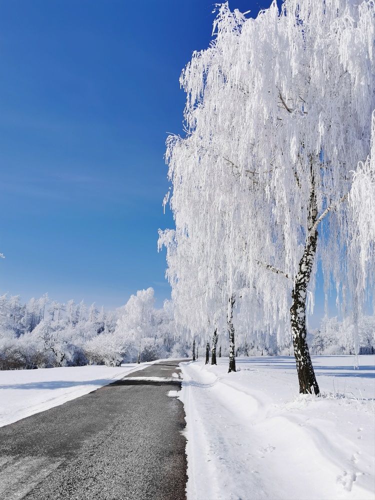 Photograph by Ruzena Suchánková