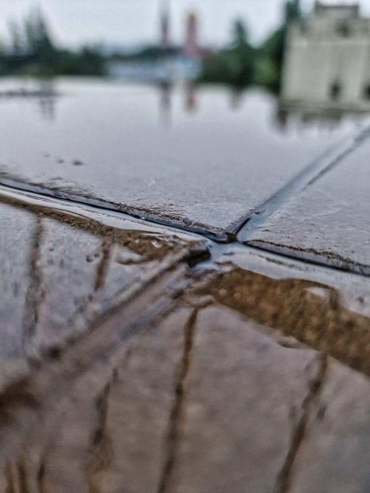 Photograph by Полина Галянина