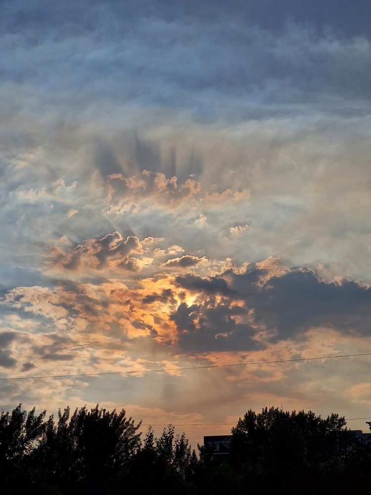 Photograph by Полина Галянина