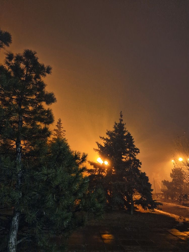 Photograph by Полина Галянина