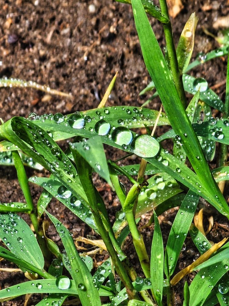 Photograph by Полина Галянина