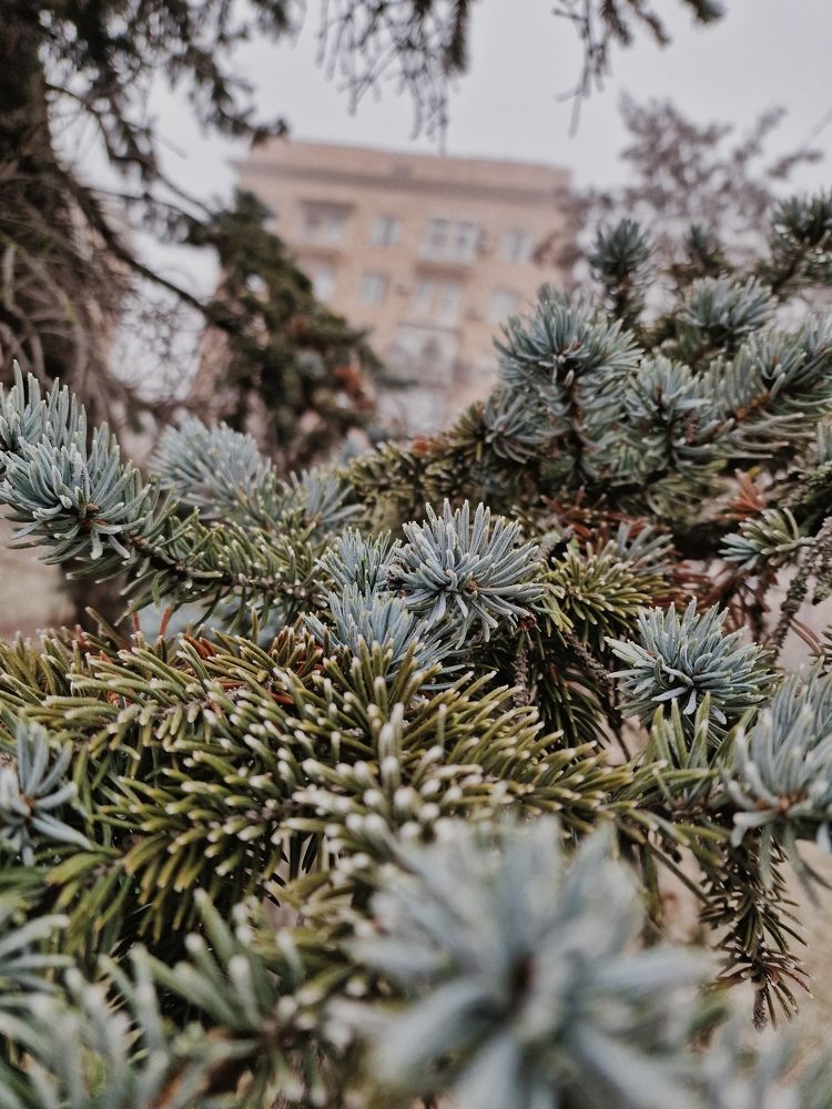 Photograph by Полина Галянина