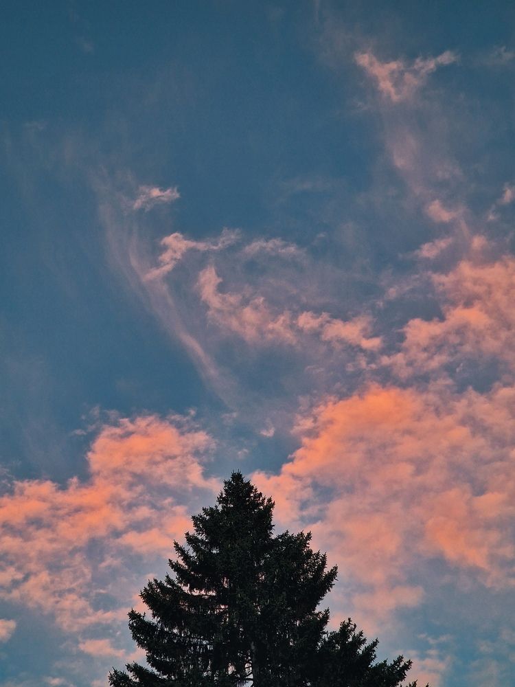 Photograph by Полина Галянина