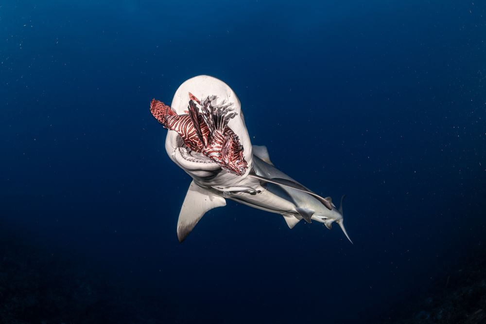 Photograph by Jose Luis Gonzalez Guerra