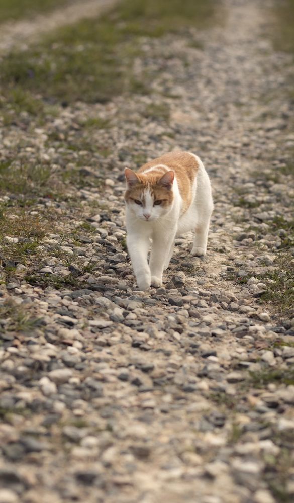 Photograph by Людмила Иевлева