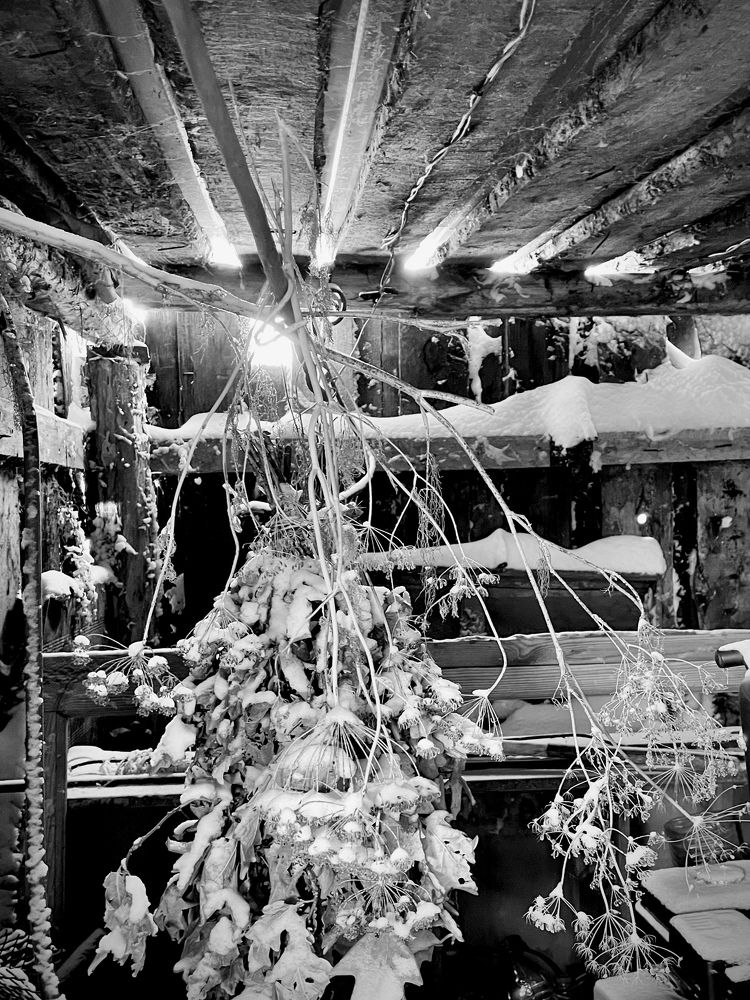 Photograph by Elena Budycheva