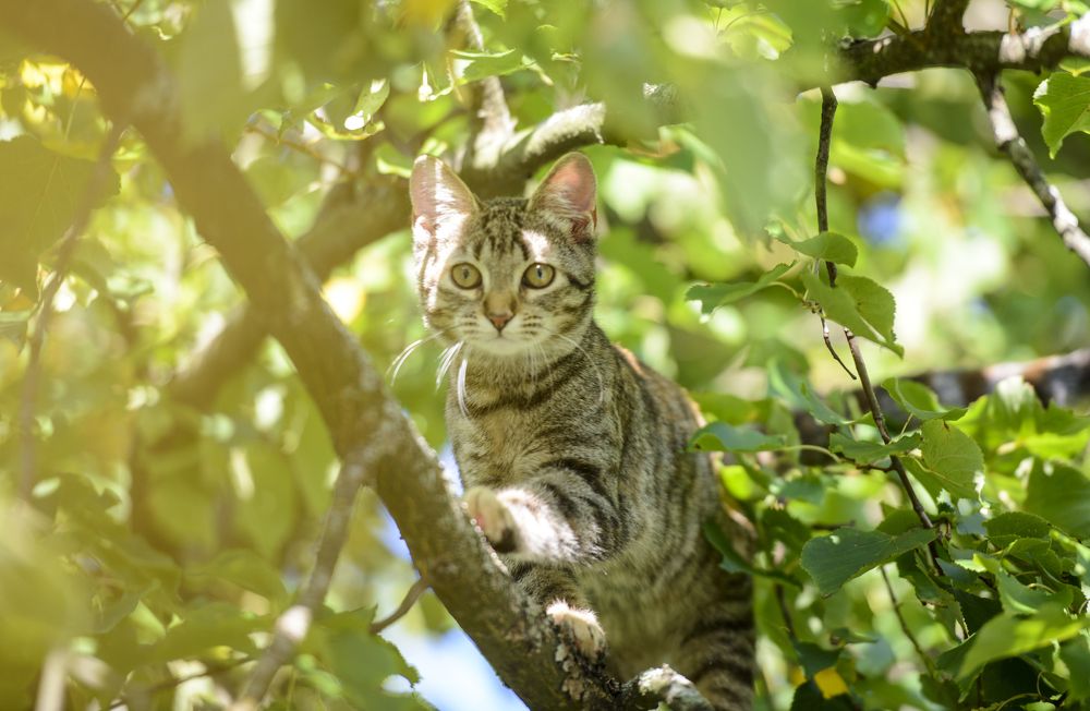 Photograph by Andrew