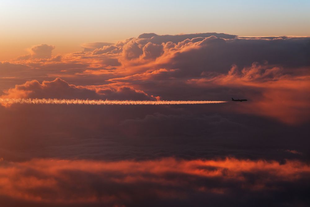 Photograph by Юлия Шаля