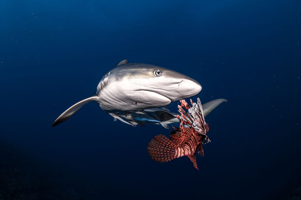 Photograph by Jose Luis Gonzalez Guerra