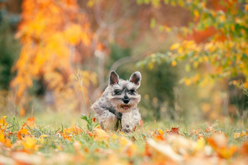 Photograph by Виола Поликарпова