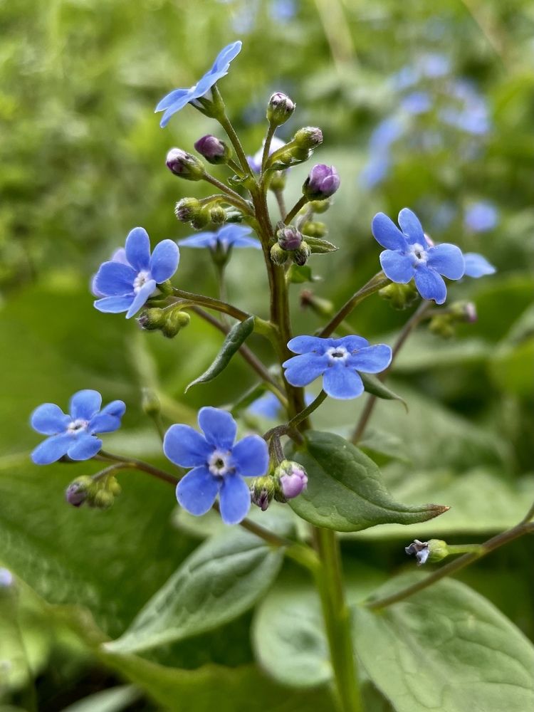 Photograph by Elena Budycheva