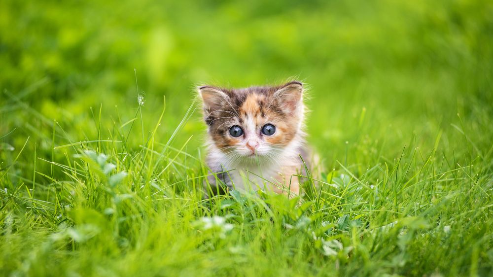 Photograph by Andrew