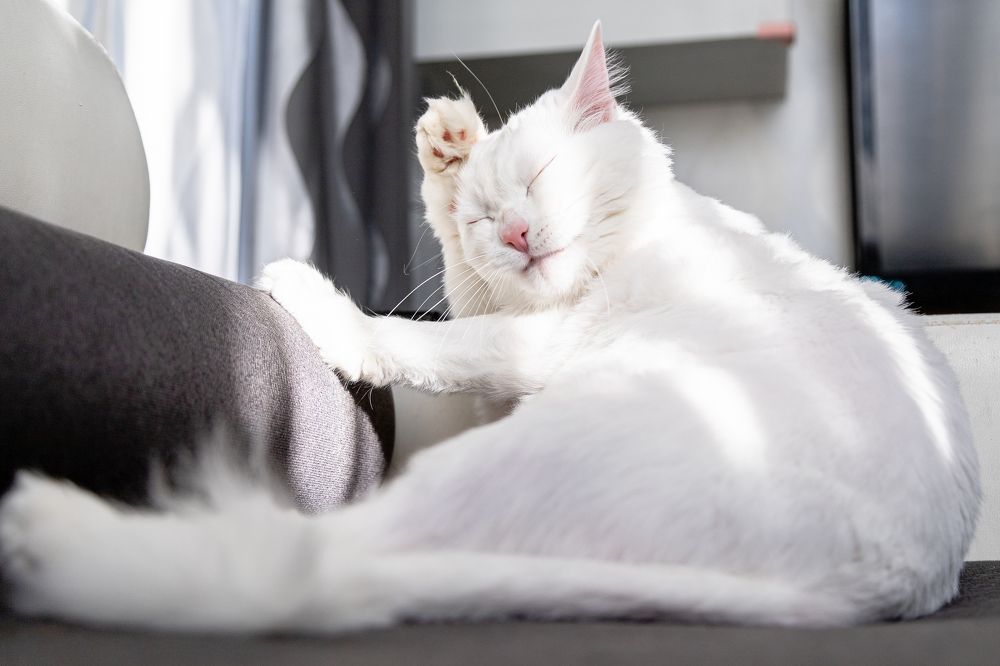 Photograph by Виктор Поляков