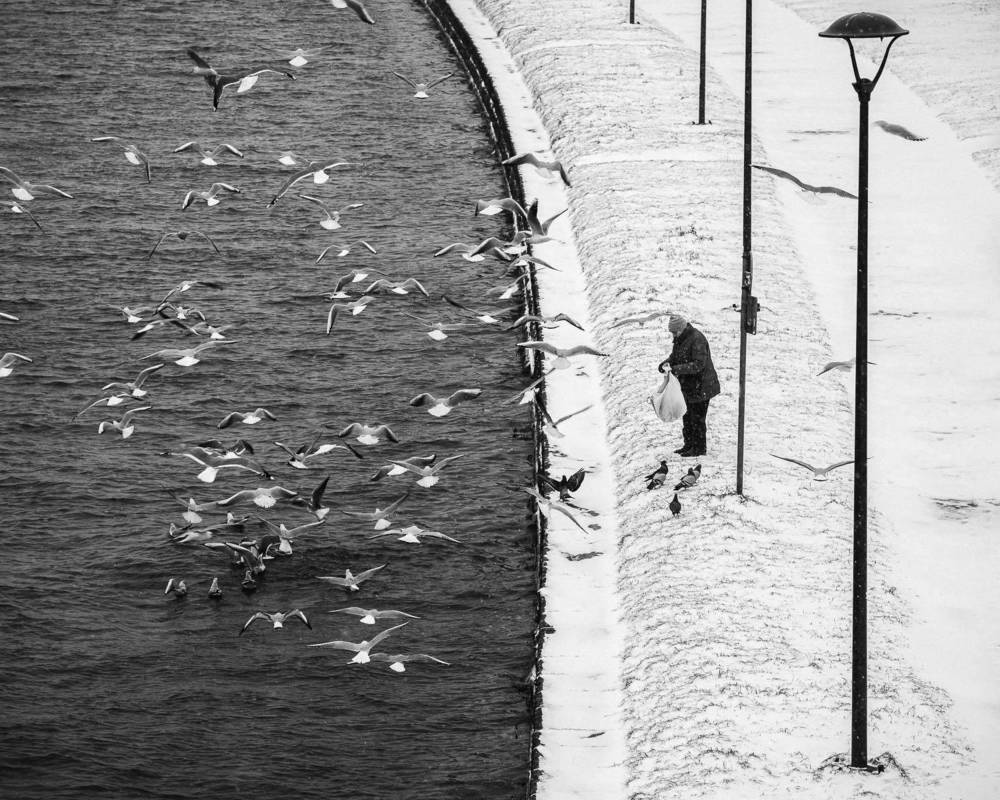 One year along the river.