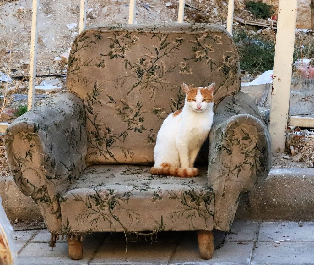 Photograph by Ramzi Nari