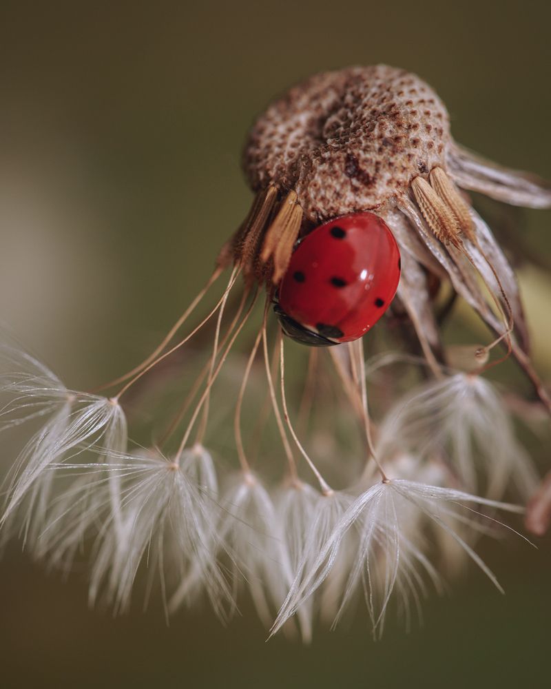 Photograph by Михаил