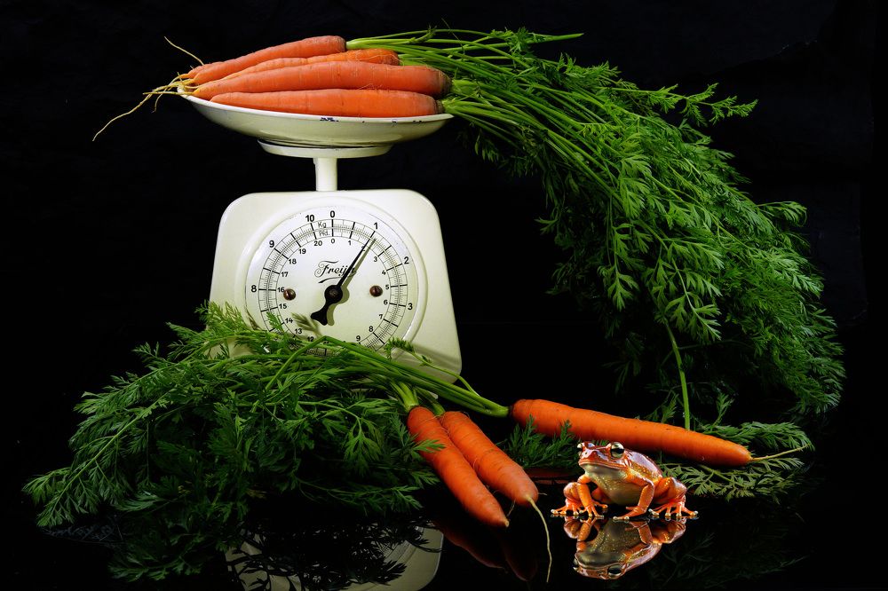 Фотография автора Igor Lukin