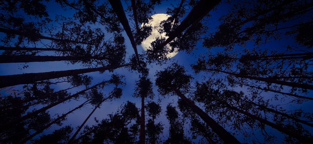 Photograph by Konstantin Martynov