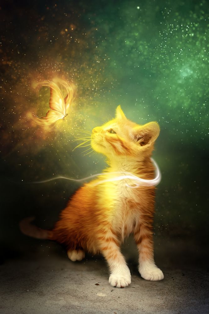 Фотография автора Behnam Ramazani