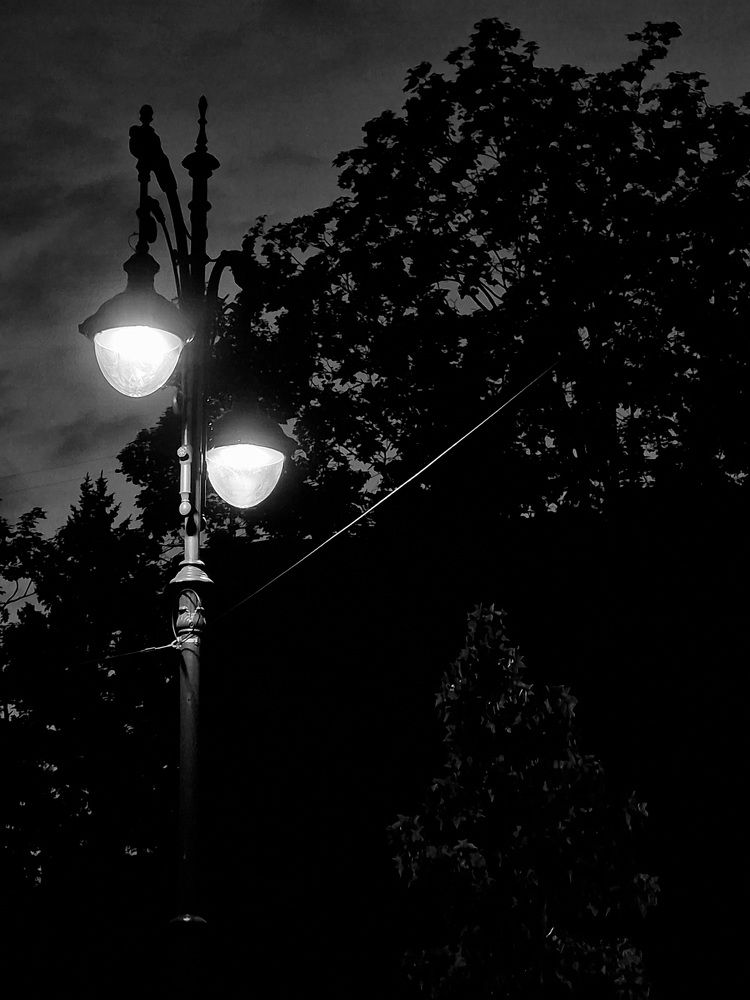 Photograph by Полина Галянина