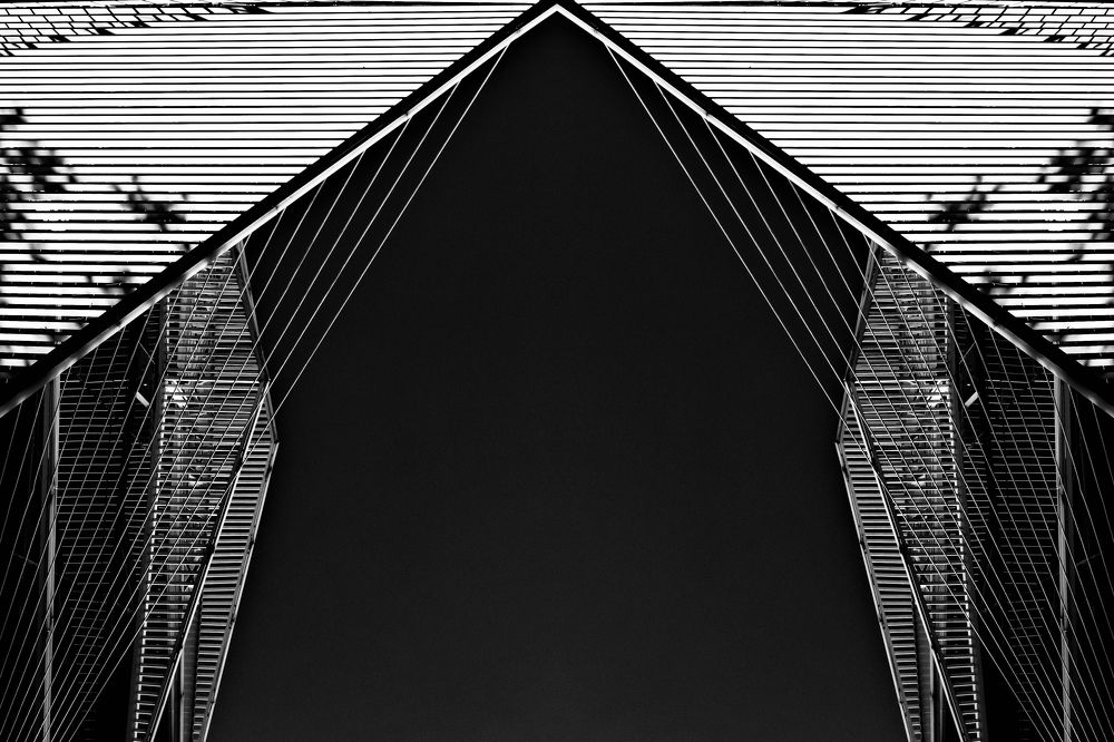 Photograph by Newsha dehghan