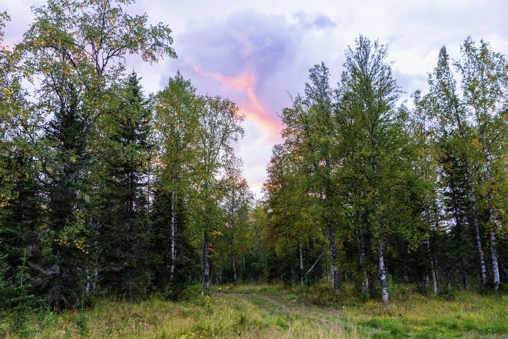 Photograph by Юрий Тимофеев