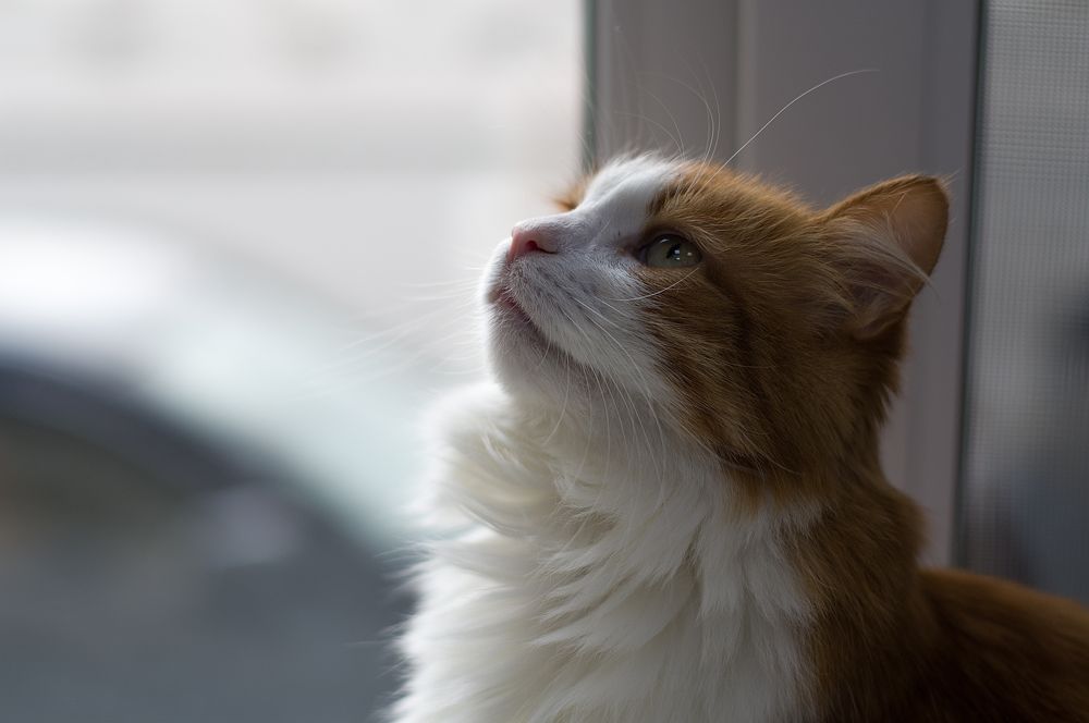 Photograph by Оксана Макарова