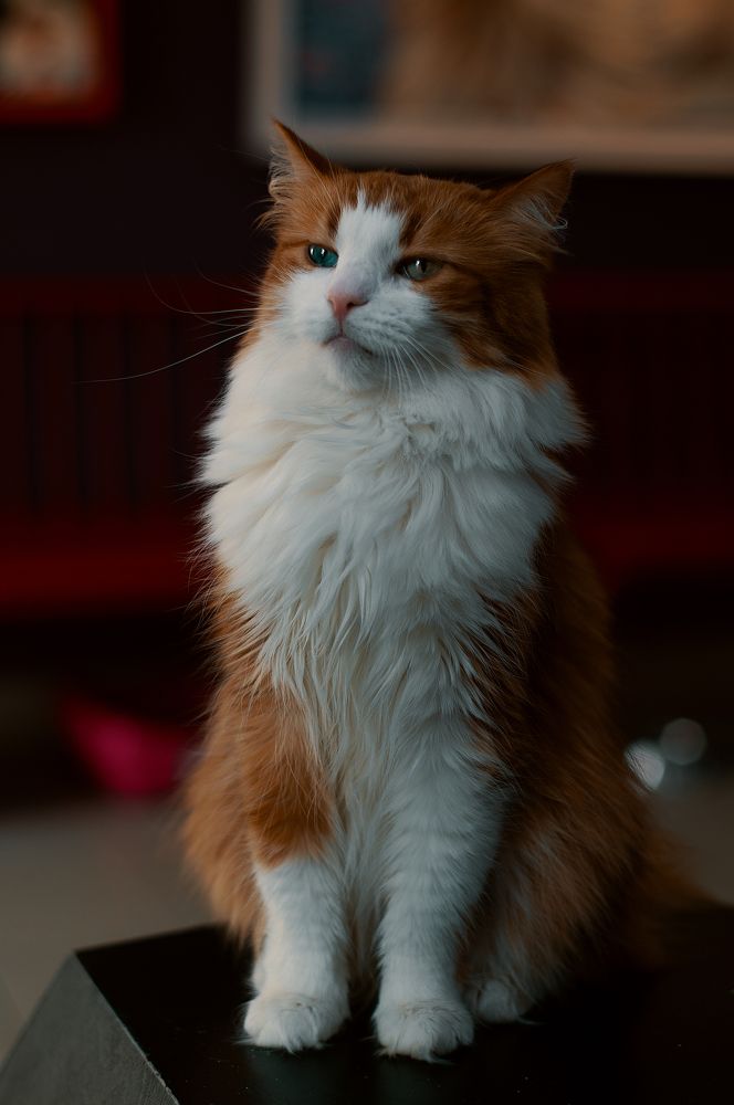 Photograph by Оксана Макарова