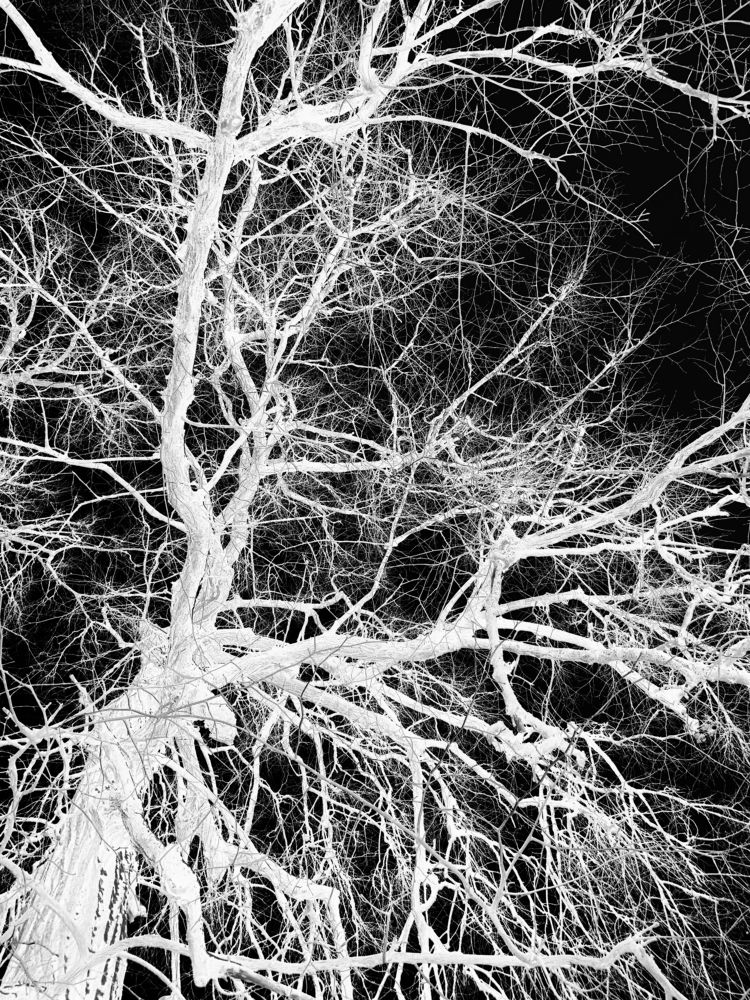 Photograph by Ренат Маннанов