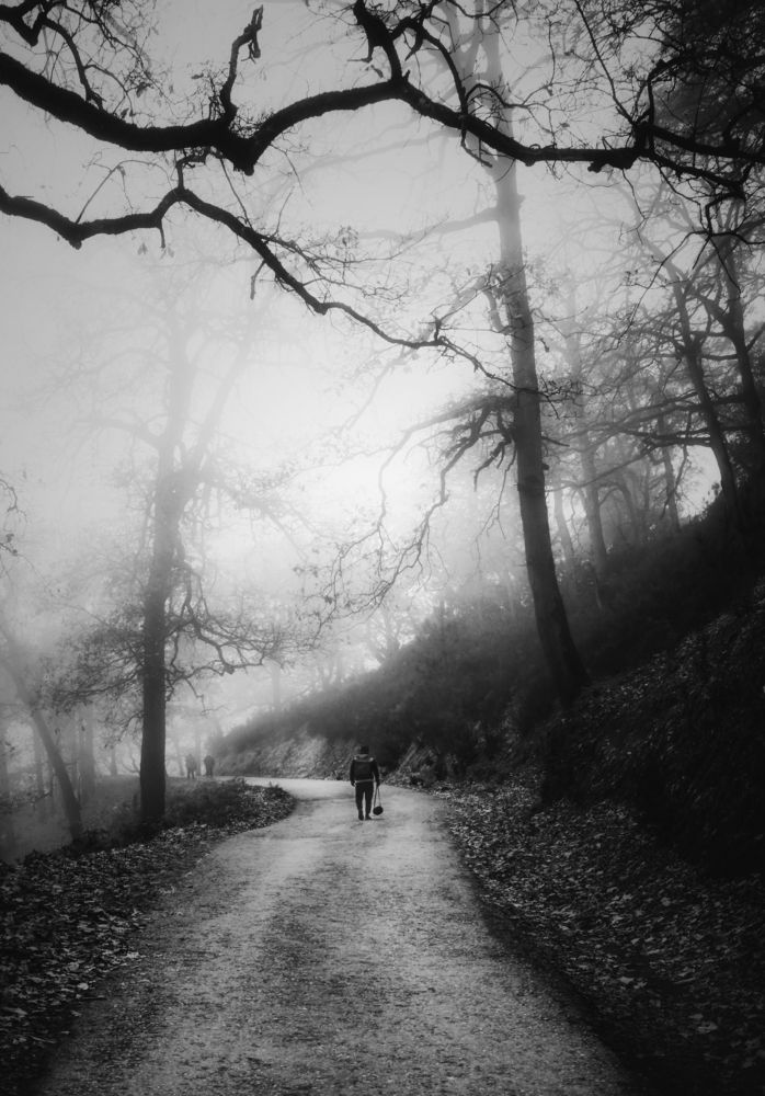 Photograph by فهد غميط