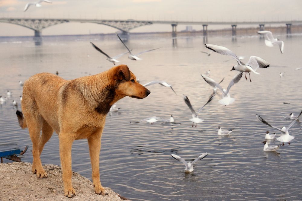 Photograph by Елена Давыдова