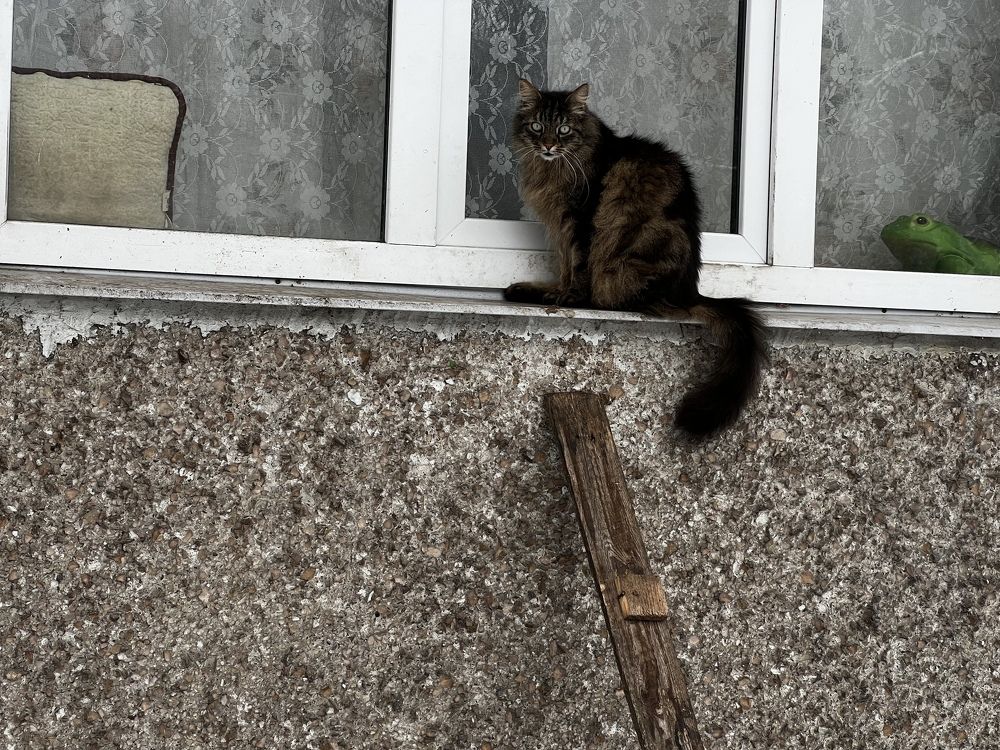 Photograph by Aleksejs Skripko