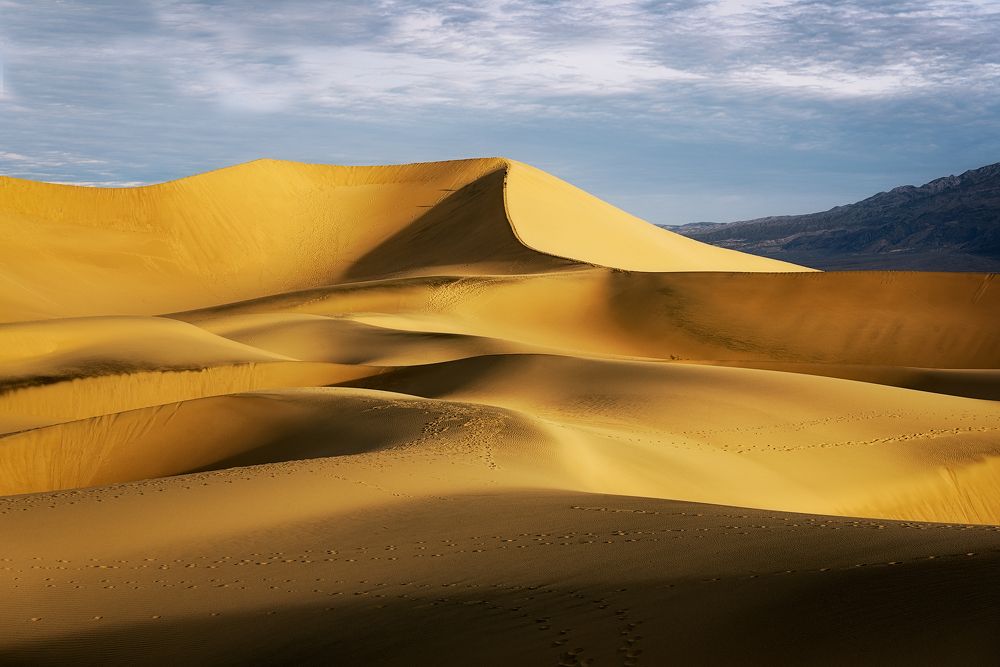 Photograph by Amos Ravid